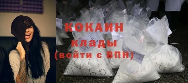 сатива Беломорск