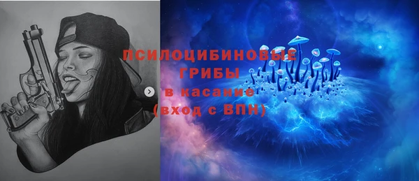 mix Белокуриха