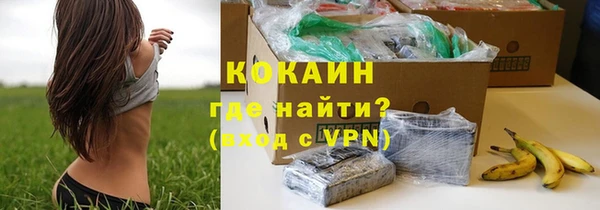 сатива Беломорск