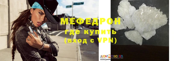 сатива Беломорск