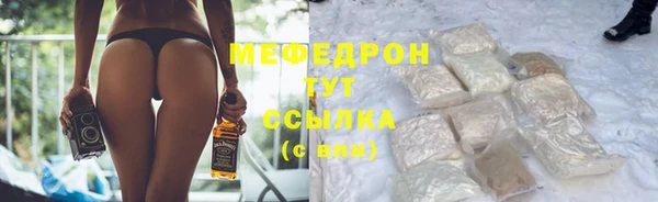 сатива Беломорск