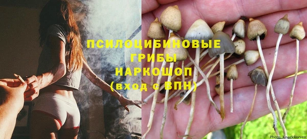 сатива Беломорск