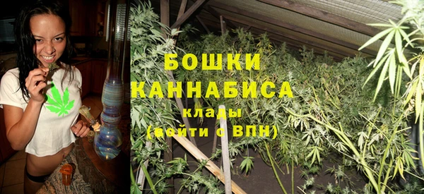сатива Беломорск