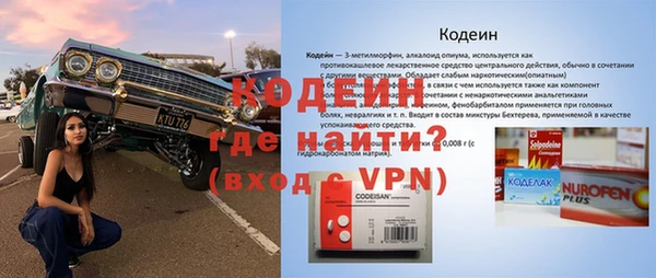 сатива Беломорск