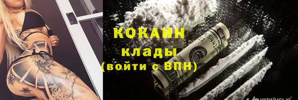 сатива Беломорск