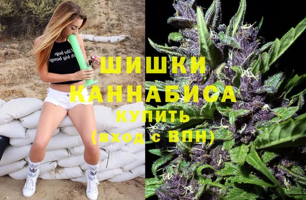 сатива Беломорск