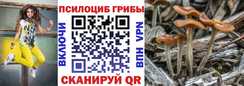 Галлюциногенные грибы GOLDEN TEACHER  где купить   Надым 